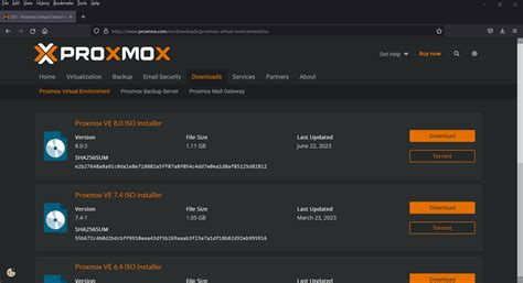 Proxmox Virtual Environment. . Download proxmox